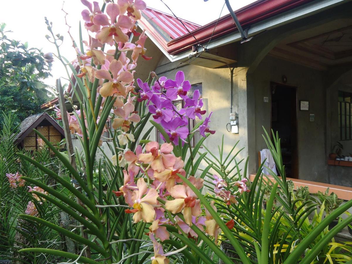 Lhoyjean Garden Hostel Batuan Exterior foto